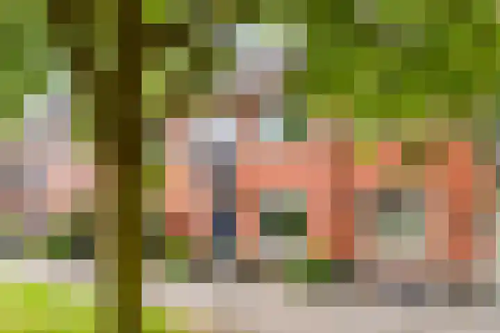 Narcisplantsoen 17 Berkel en Rodenrijs thumbnail 5