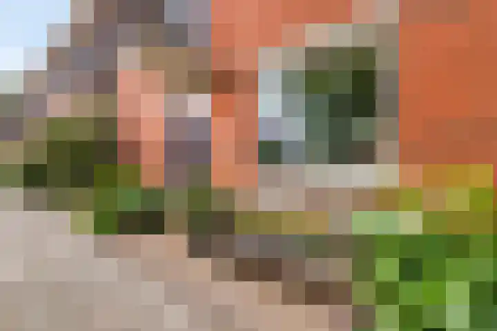 Narcisplantsoen 17 Berkel en Rodenrijs thumbnail 6