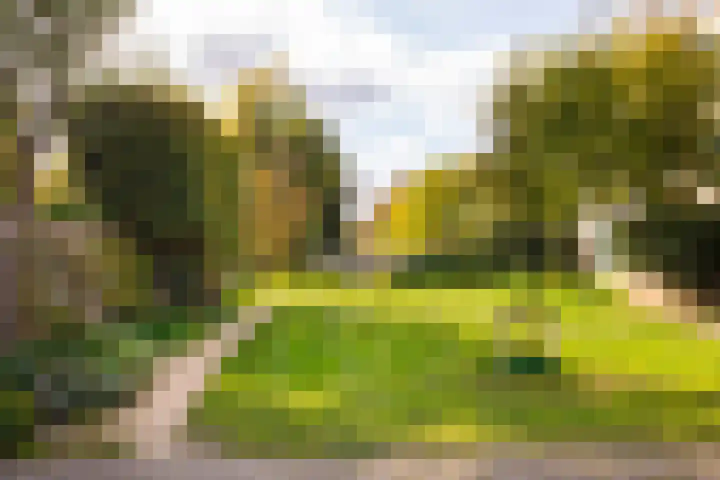 Narcisplantsoen 18 Haarlem thumbnail 22