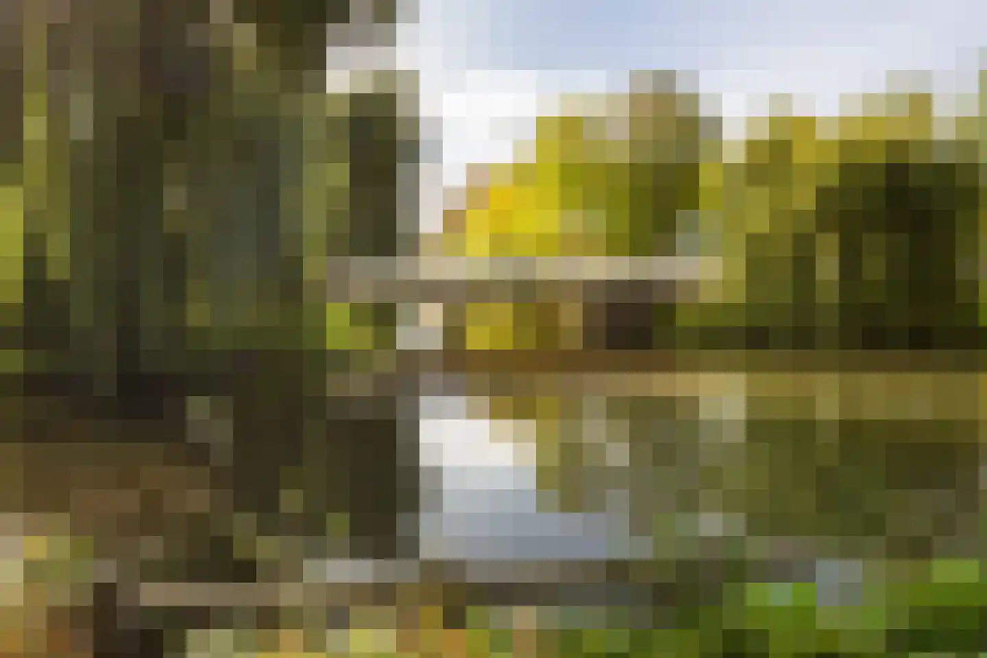 Narcisplantsoen 18 Haarlem thumbnail 23