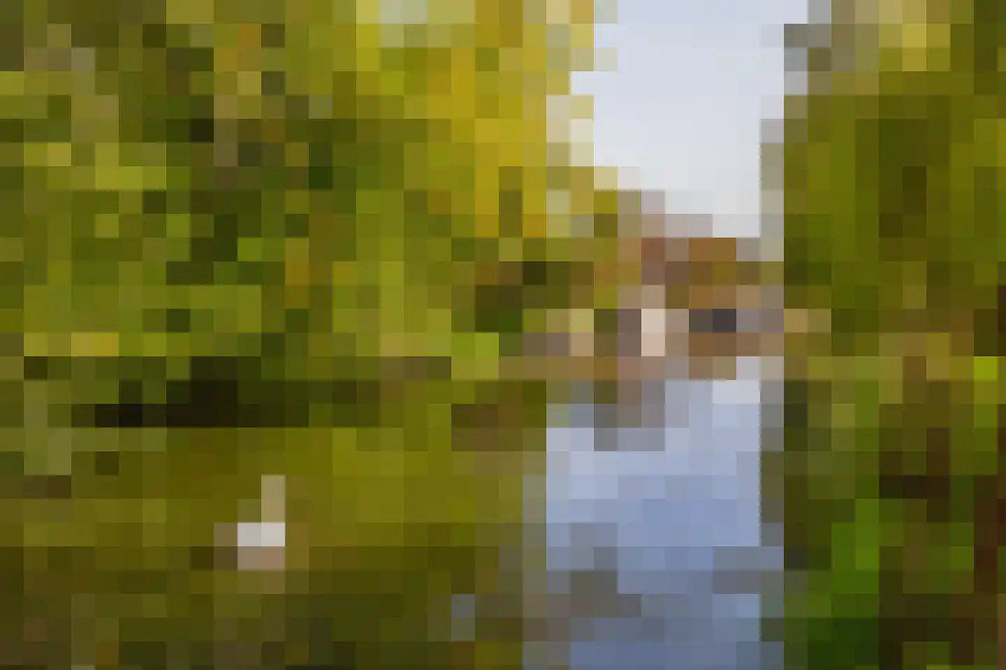 Narcisplantsoen 18 Haarlem thumbnail 24