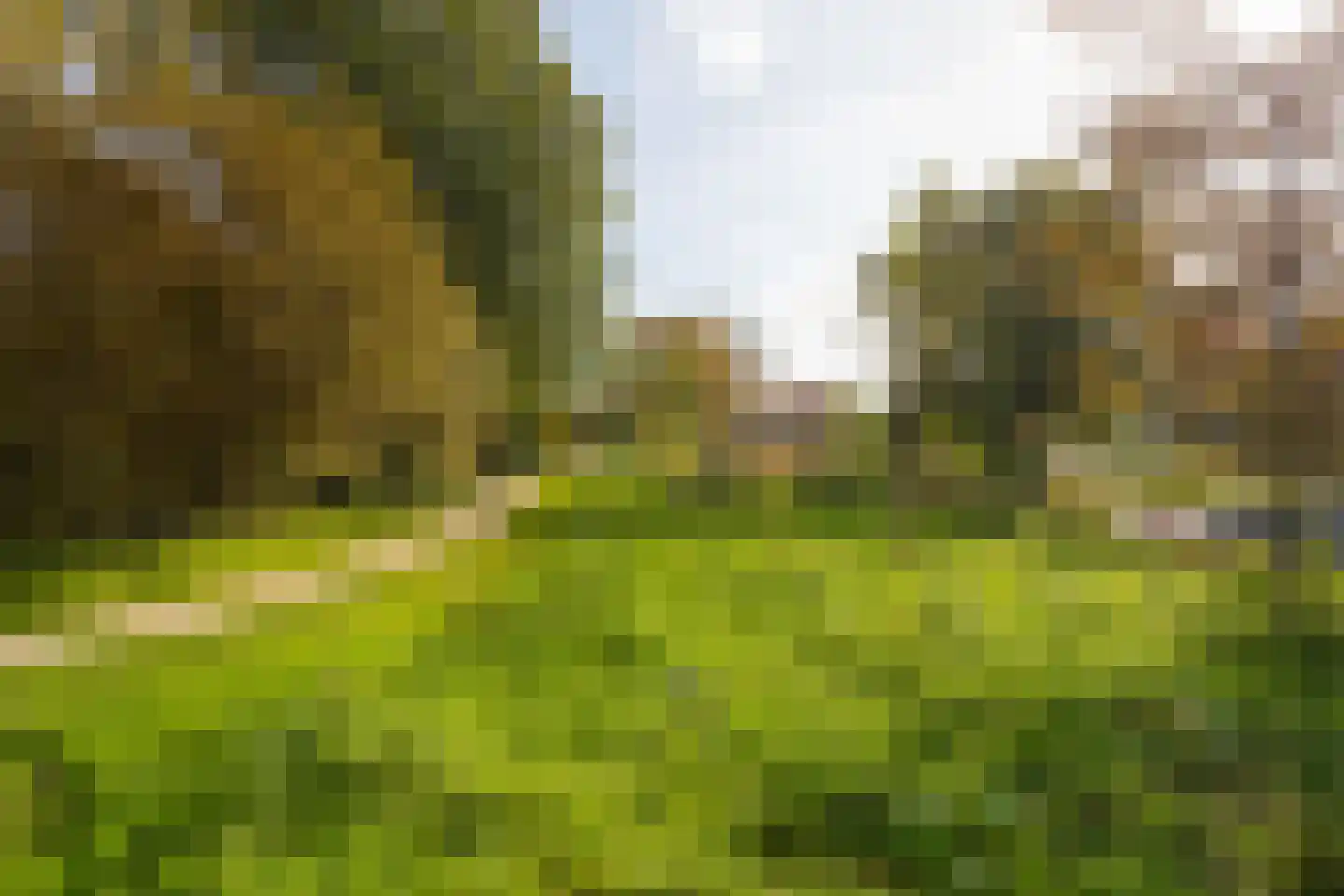 Narcisplantsoen 18 Haarlem thumbnail 25