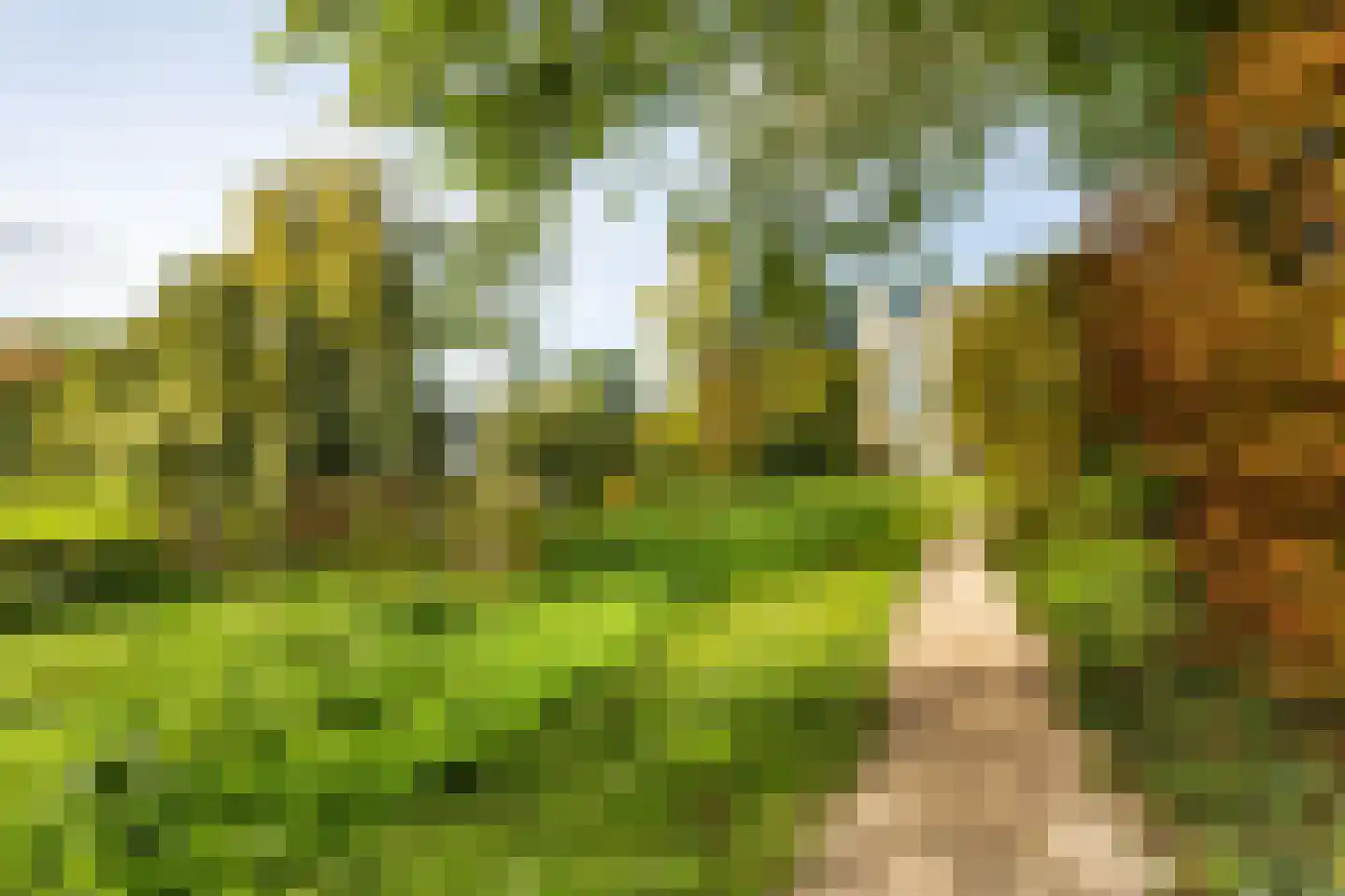 Narcisplantsoen 18 Haarlem thumbnail 26