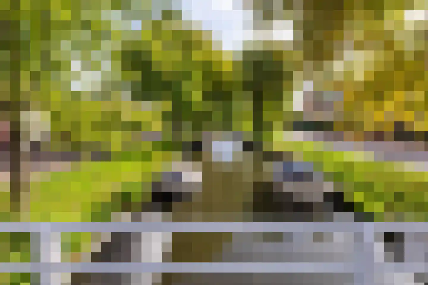 Narcisplantsoen 18 Haarlem thumbnail 27