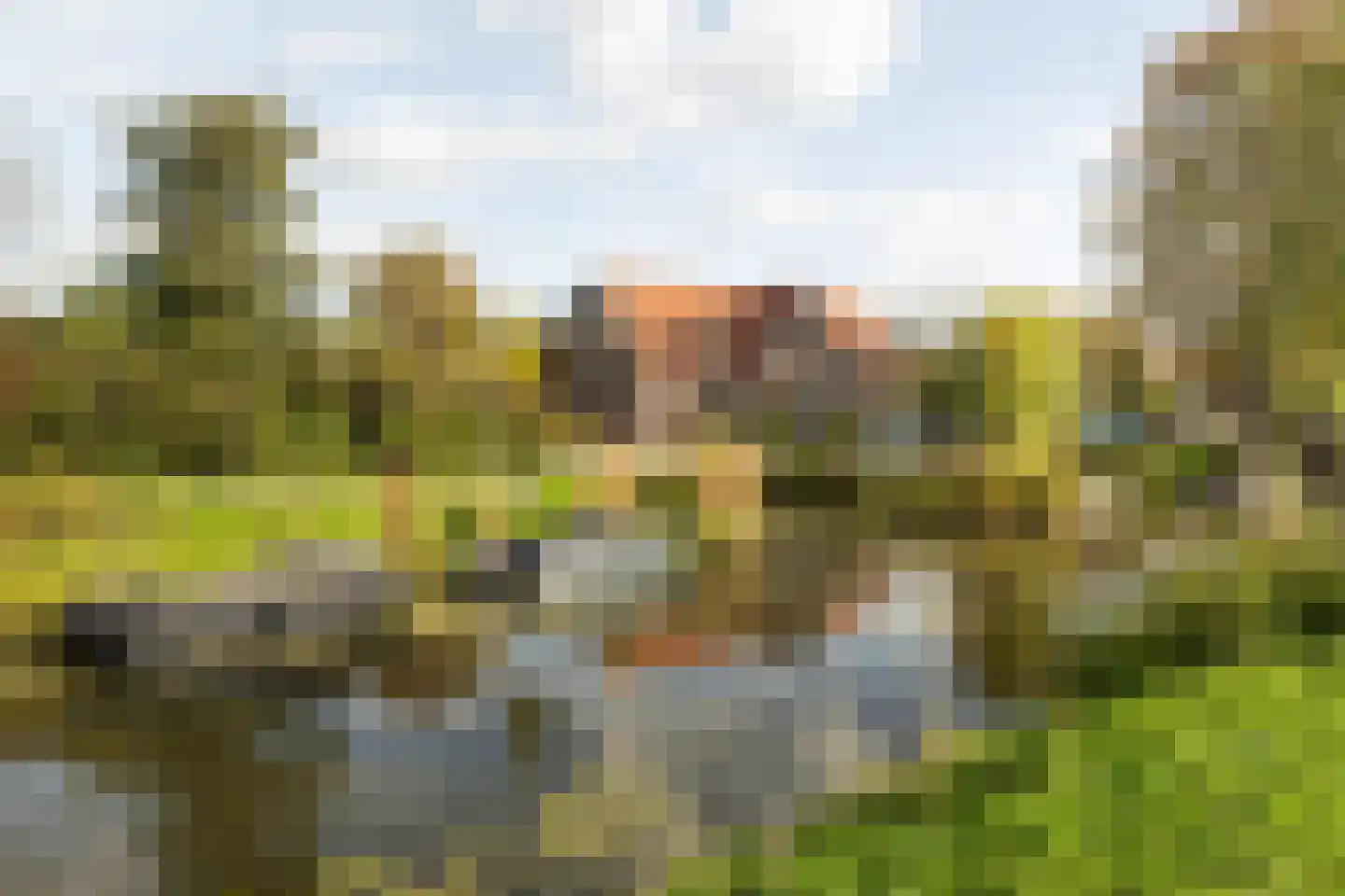 Narcisplantsoen 18 Haarlem thumbnail 29