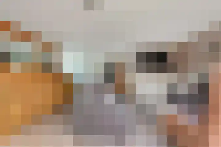 Narcisplantsoen 21 Berkel en Rodenrijs thumbnail 10
