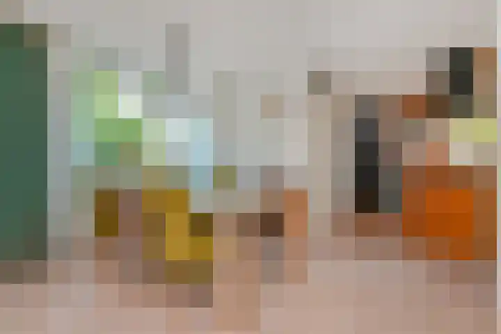 Narcisplantsoen 21 Berkel en Rodenrijs thumbnail 13