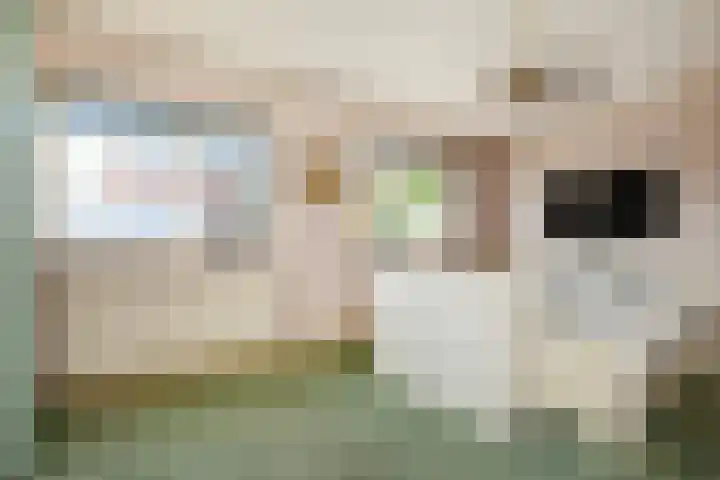 Narcisplantsoen 21 Berkel en Rodenrijs thumbnail 20