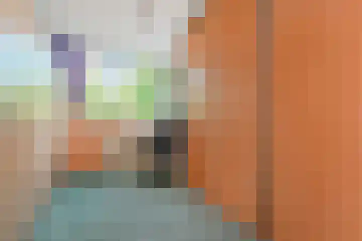 Narcisplantsoen 21 Berkel en Rodenrijs thumbnail 24