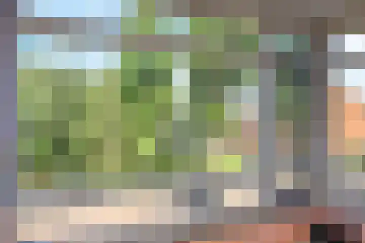 Narcisplantsoen 21 Berkel en Rodenrijs thumbnail 26