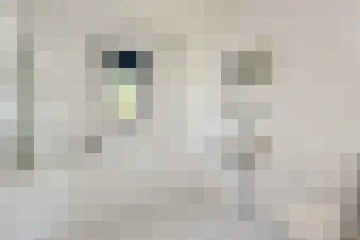 Narcisplantsoen 21 Berkel en Rodenrijs thumbnail 27