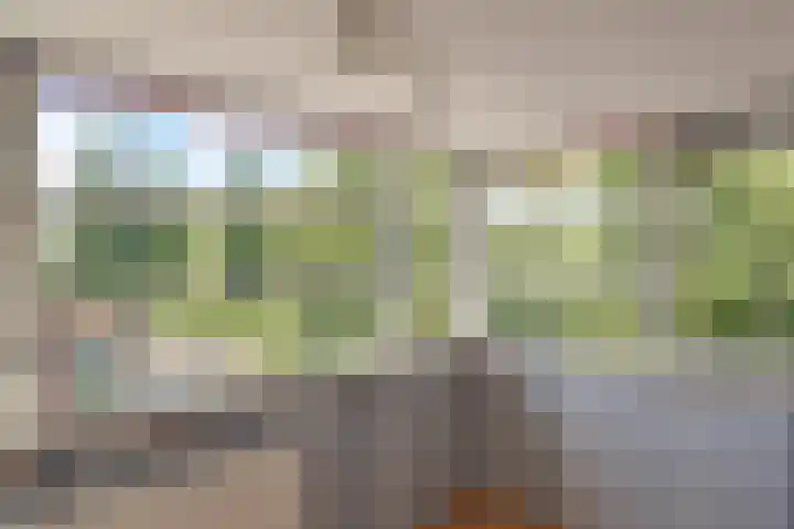 Narcisplantsoen 21 Berkel en Rodenrijs thumbnail 30