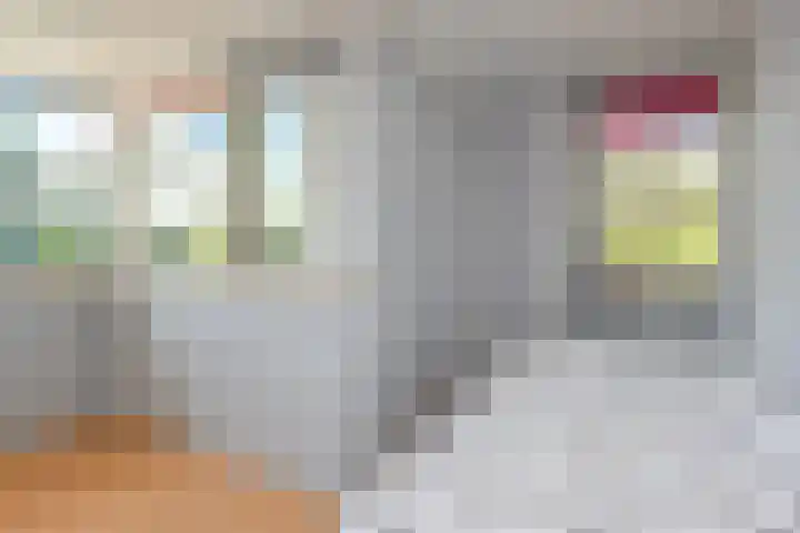 Narcisplantsoen 21 Berkel en Rodenrijs thumbnail 33