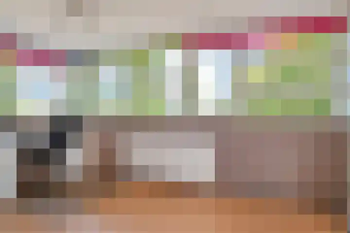 Narcisplantsoen 21 Berkel en Rodenrijs thumbnail 35