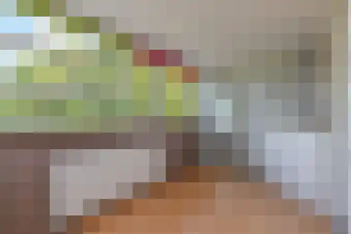 Narcisplantsoen 21 Berkel en Rodenrijs thumbnail 38