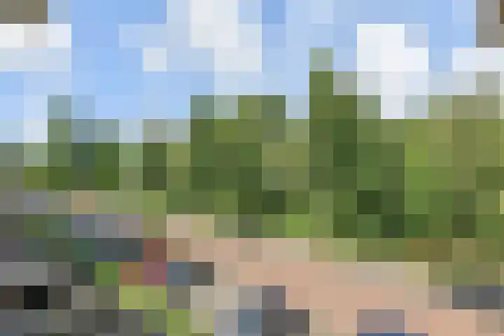 Narcisplantsoen 21 Berkel en Rodenrijs thumbnail 39