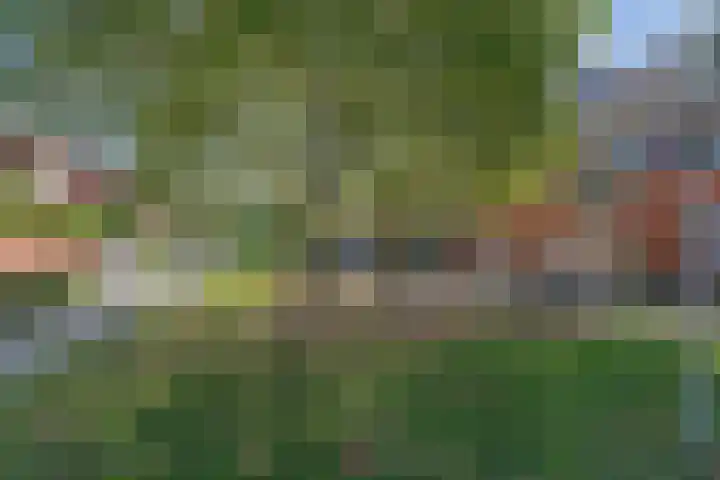 Narcisplantsoen 21 Berkel en Rodenrijs thumbnail 4