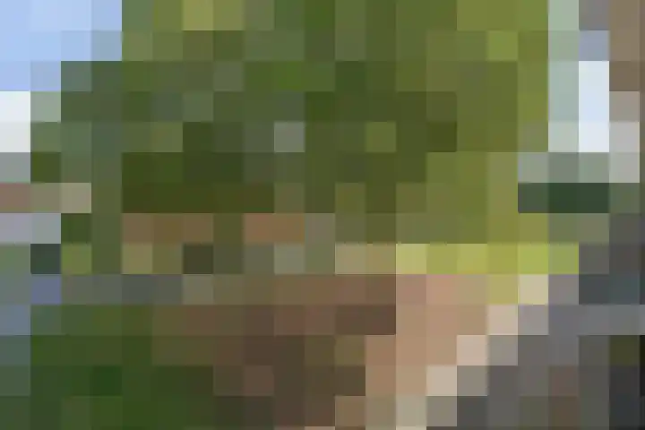 Narcisplantsoen 21 Berkel en Rodenrijs thumbnail 41