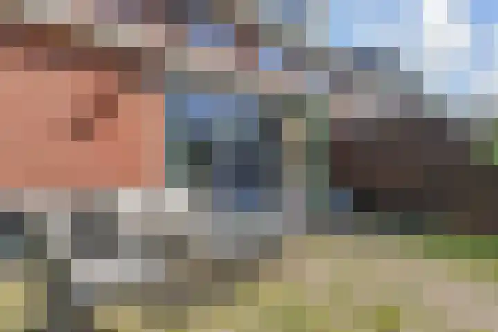 Narcisplantsoen 21 Berkel en Rodenrijs thumbnail 45