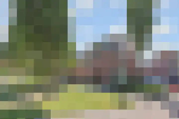 Narcisplantsoen 21 Berkel en Rodenrijs thumbnail 46