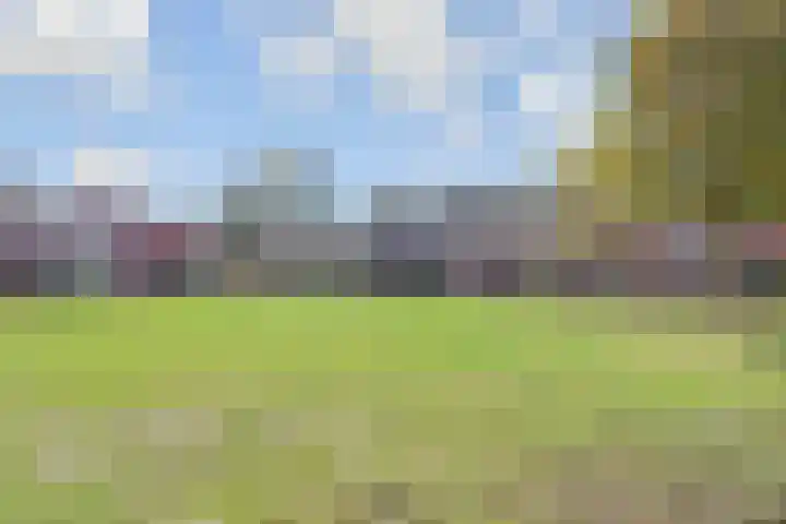 Narcisplantsoen 21 Berkel en Rodenrijs thumbnail 47