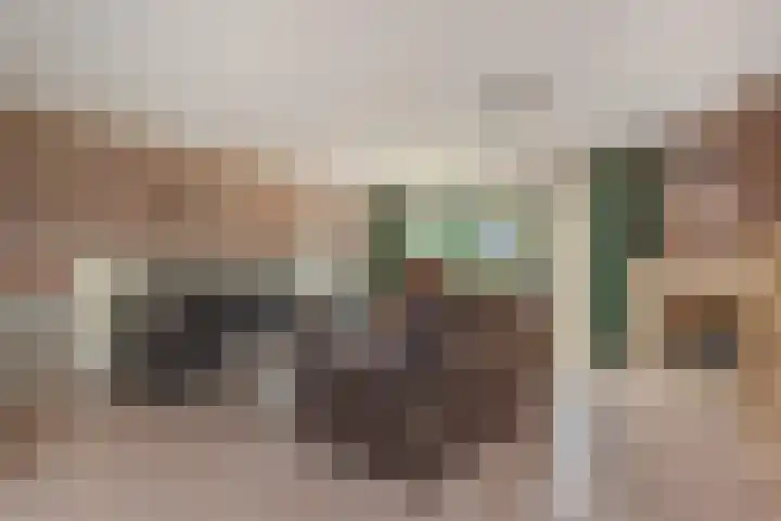 Narcisplantsoen 21 Berkel en Rodenrijs thumbnail 8