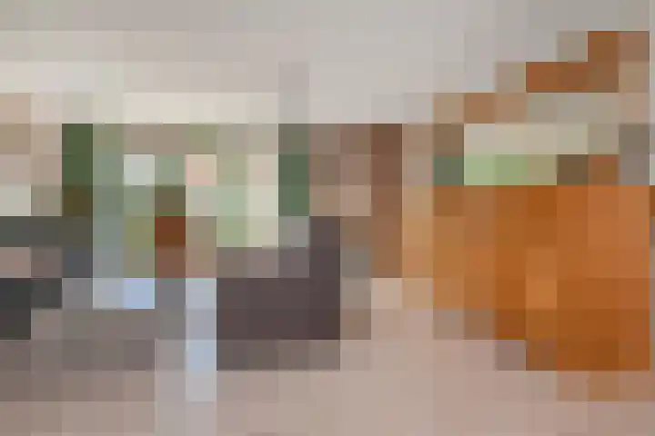 Narcisplantsoen 21 Berkel en Rodenrijs thumbnail 9