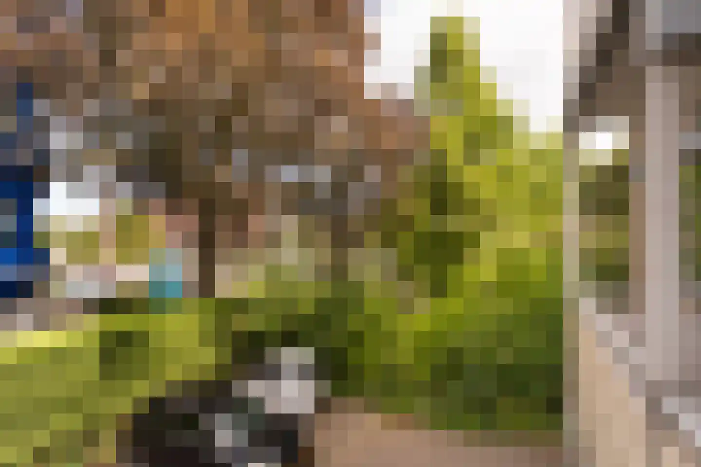 Narcisplantsoen 27 Haarlem thumbnail 17