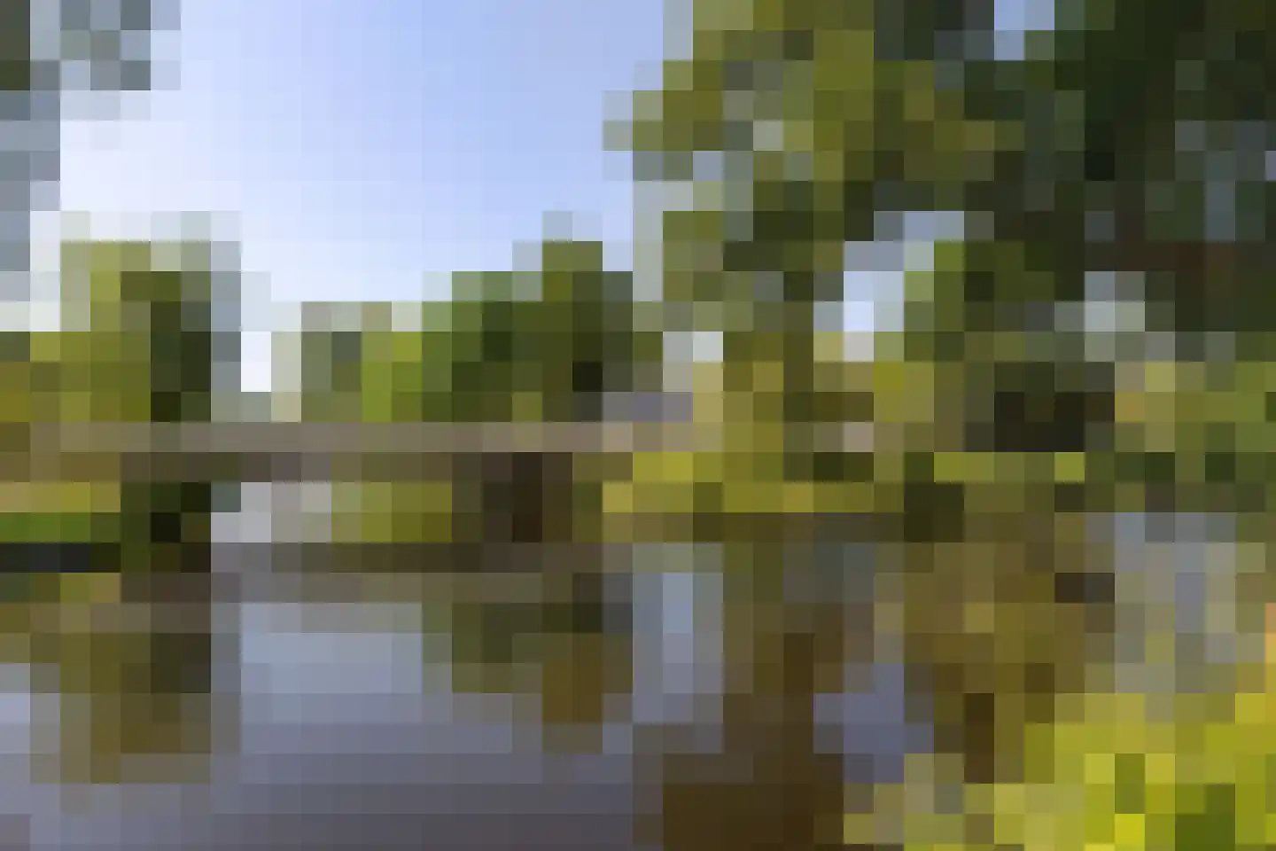 Narcisplantsoen 27 Haarlem thumbnail 25
