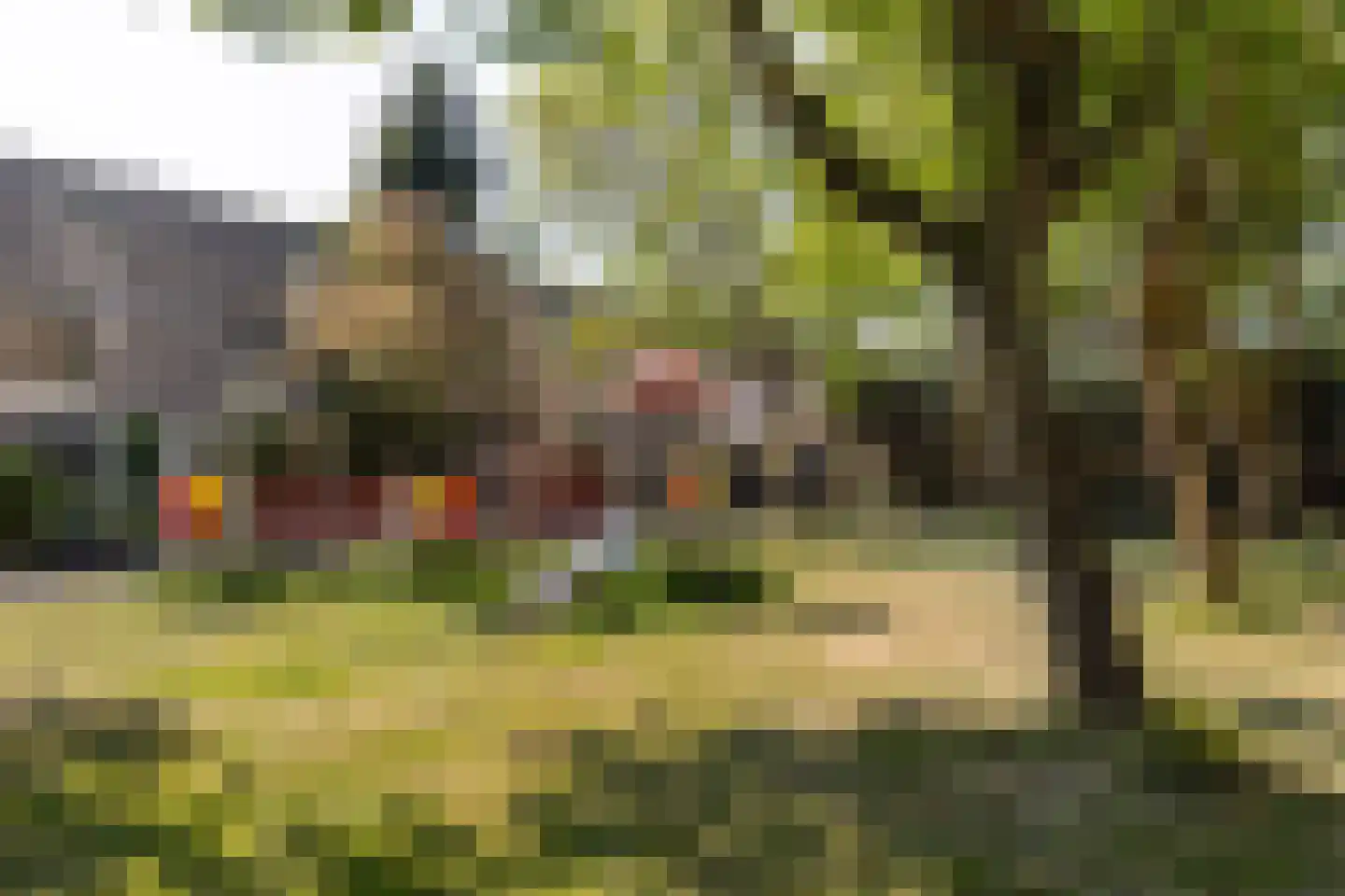 Narcisplantsoen 27 Haarlem thumbnail 26