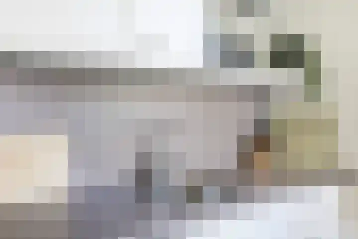 Narcisplantsoen 4 Haarlem thumbnail 14