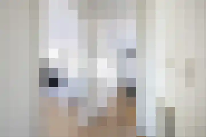 Narcisplantsoen 4 Haarlem thumbnail 15