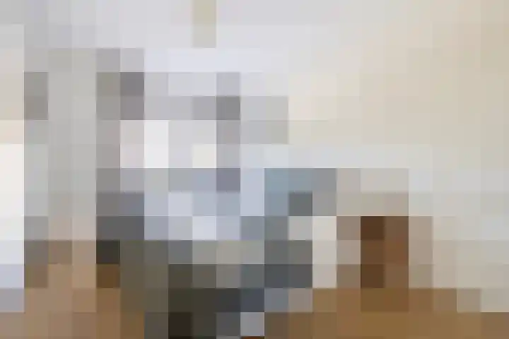 Narcisplantsoen 4 Haarlem thumbnail 16