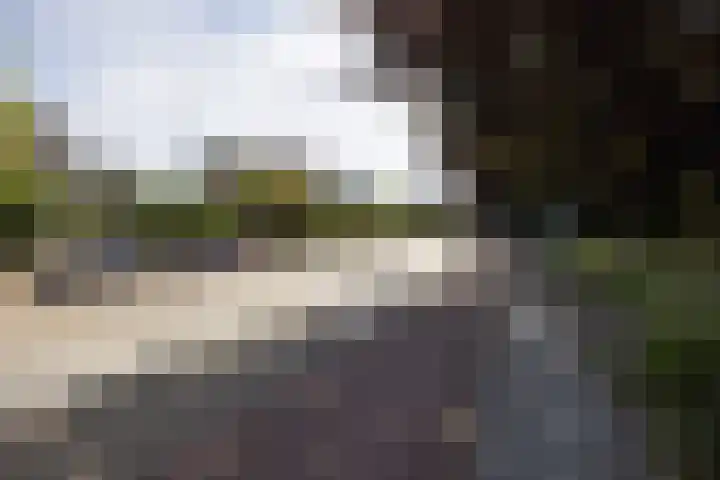 Narcisplantsoen 4 Haarlem thumbnail 24