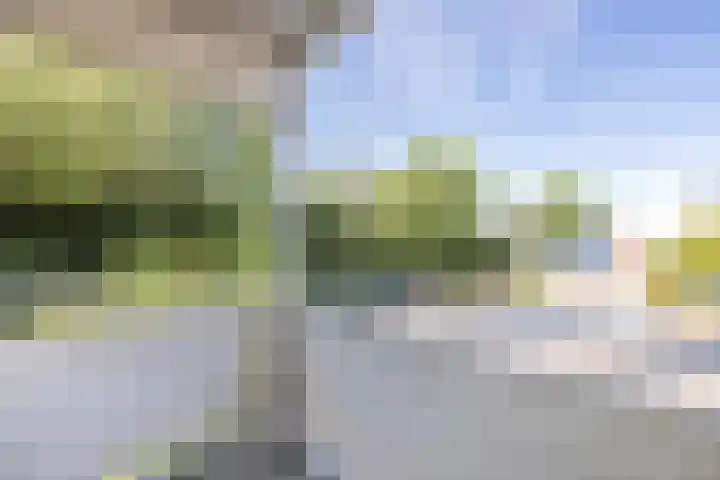 Narcisplantsoen 4 Haarlem thumbnail 8