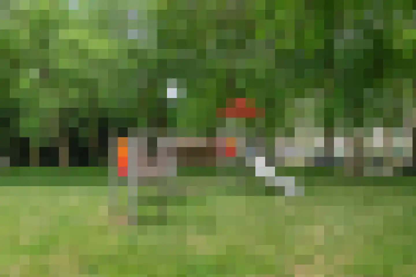 Narcisplantsoen 68 Haarlem thumbnail 29