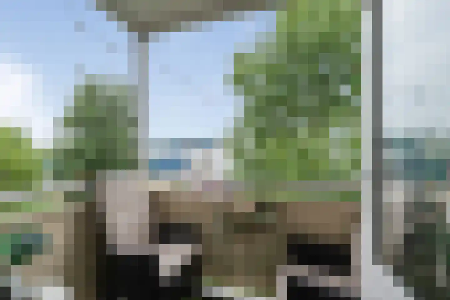Narcisplantsoen 68 Haarlem thumbnail 4
