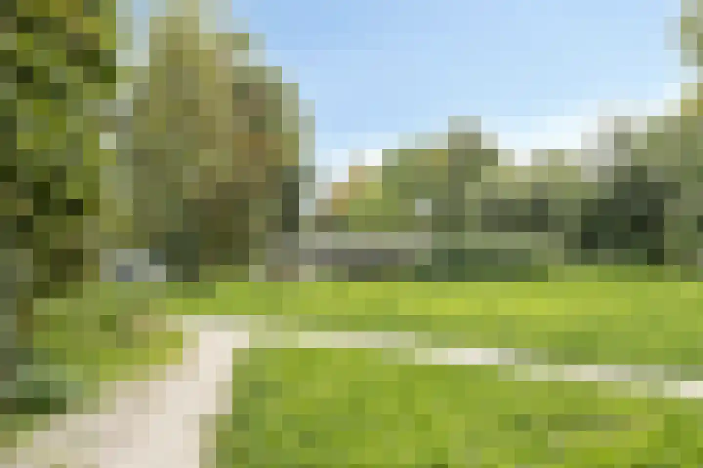 Narcisplantsoen 71 Haarlem thumbnail 29
