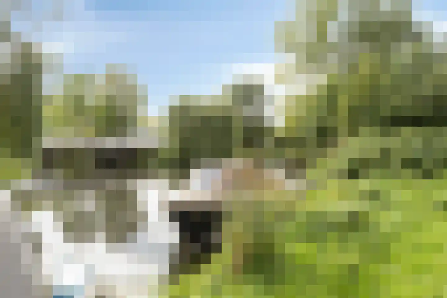 Narcisplantsoen 71 Haarlem thumbnail 30
