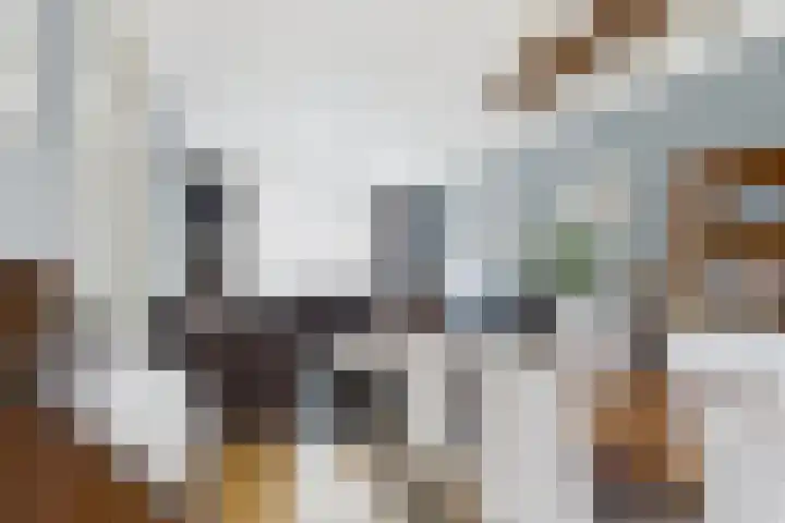 Narcissenlaan 13 Hoek thumbnail 13