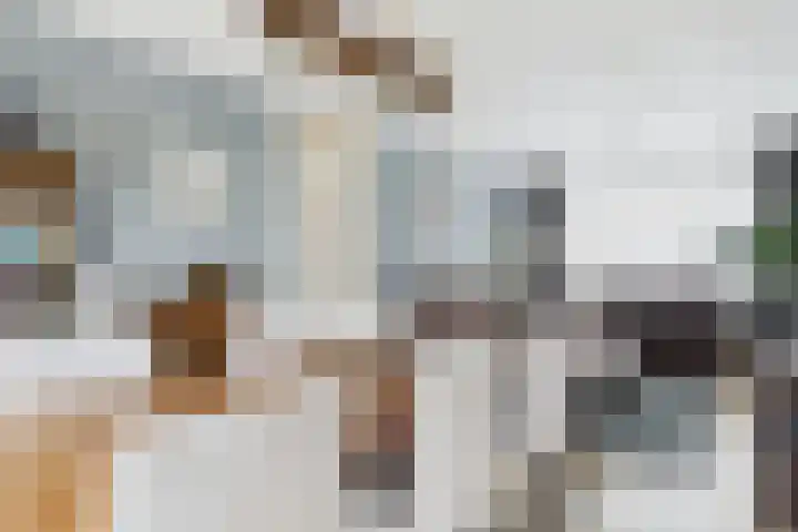 Narcissenlaan 13 Hoek thumbnail 14