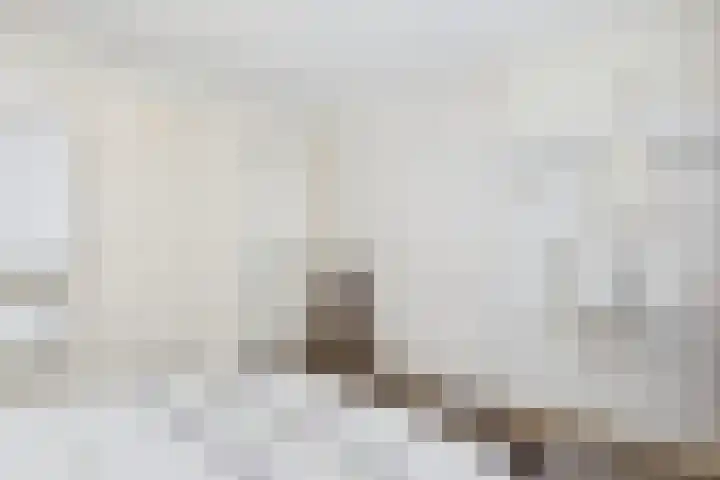 Narcissenlaan 13 Hoek thumbnail 26