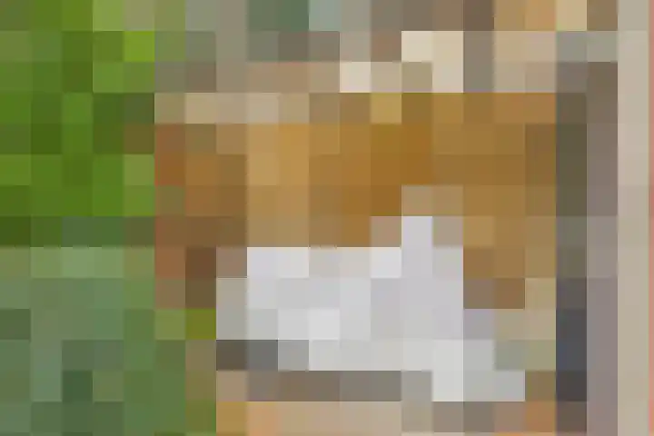 Narcissenlaan 13 Hoek thumbnail 34