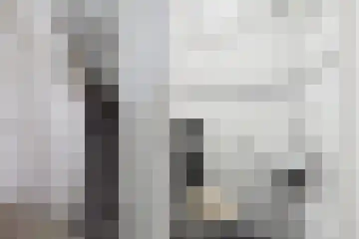 Narcissenlaan 13 Hoek thumbnail 8