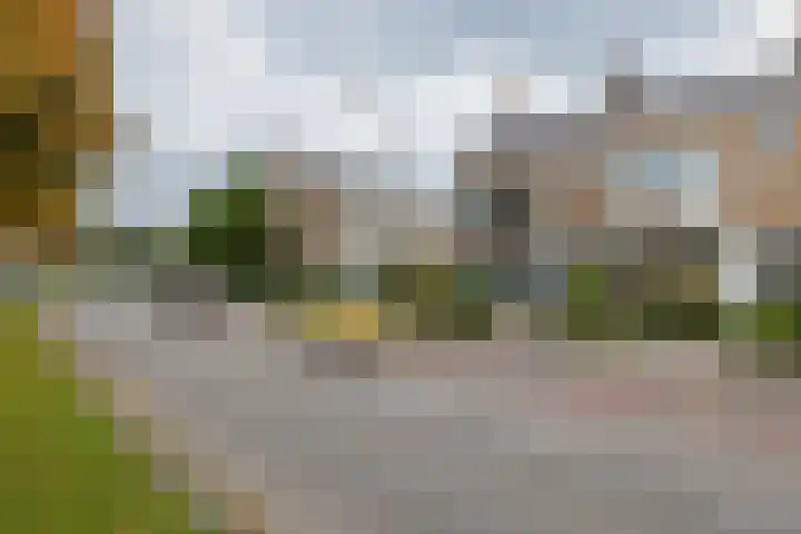 Narcissenlaan 17 Sassenheim thumbnail 30