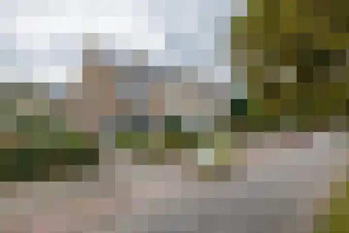 Narcissenlaan 17 Sassenheim thumbnail 31