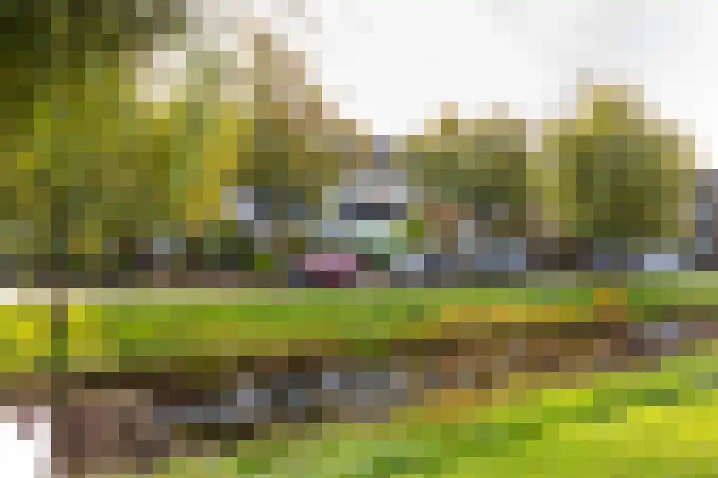 Narcissenlaan 18 Bennebroek thumbnail 5