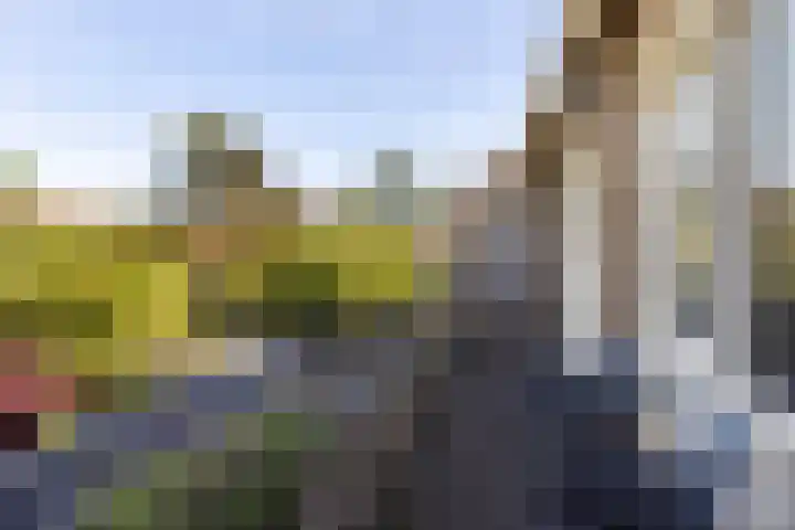 Narcissenlaan 19 Bennebroek thumbnail 25