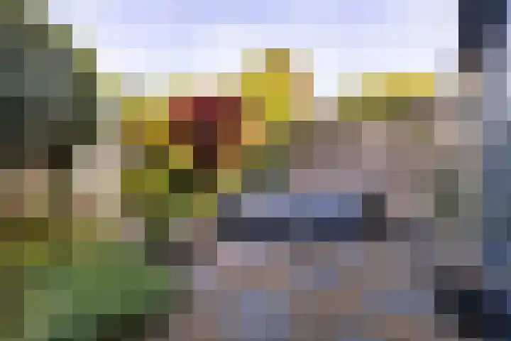 Narcissenlaan 19 Bennebroek thumbnail 26