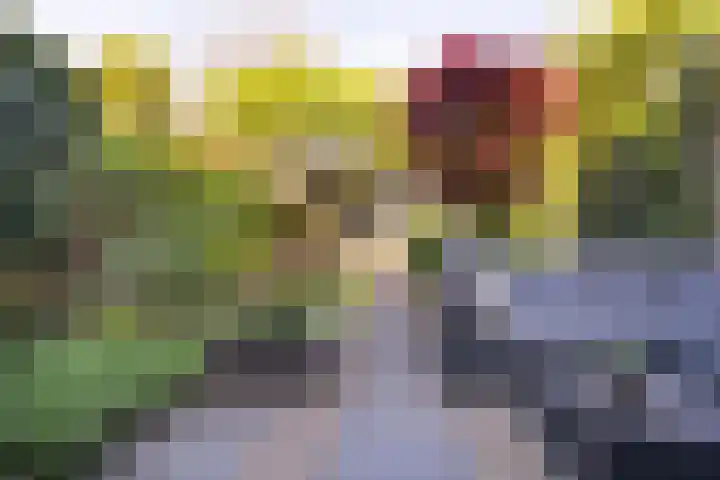 Narcissenlaan 19 Bennebroek thumbnail 27